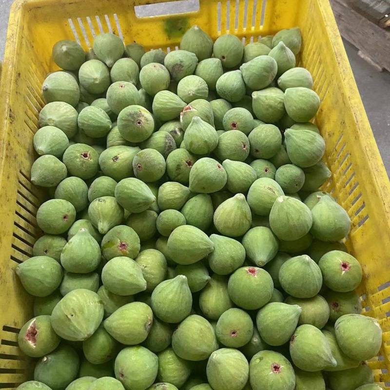 山东威海荣成无花果冻果