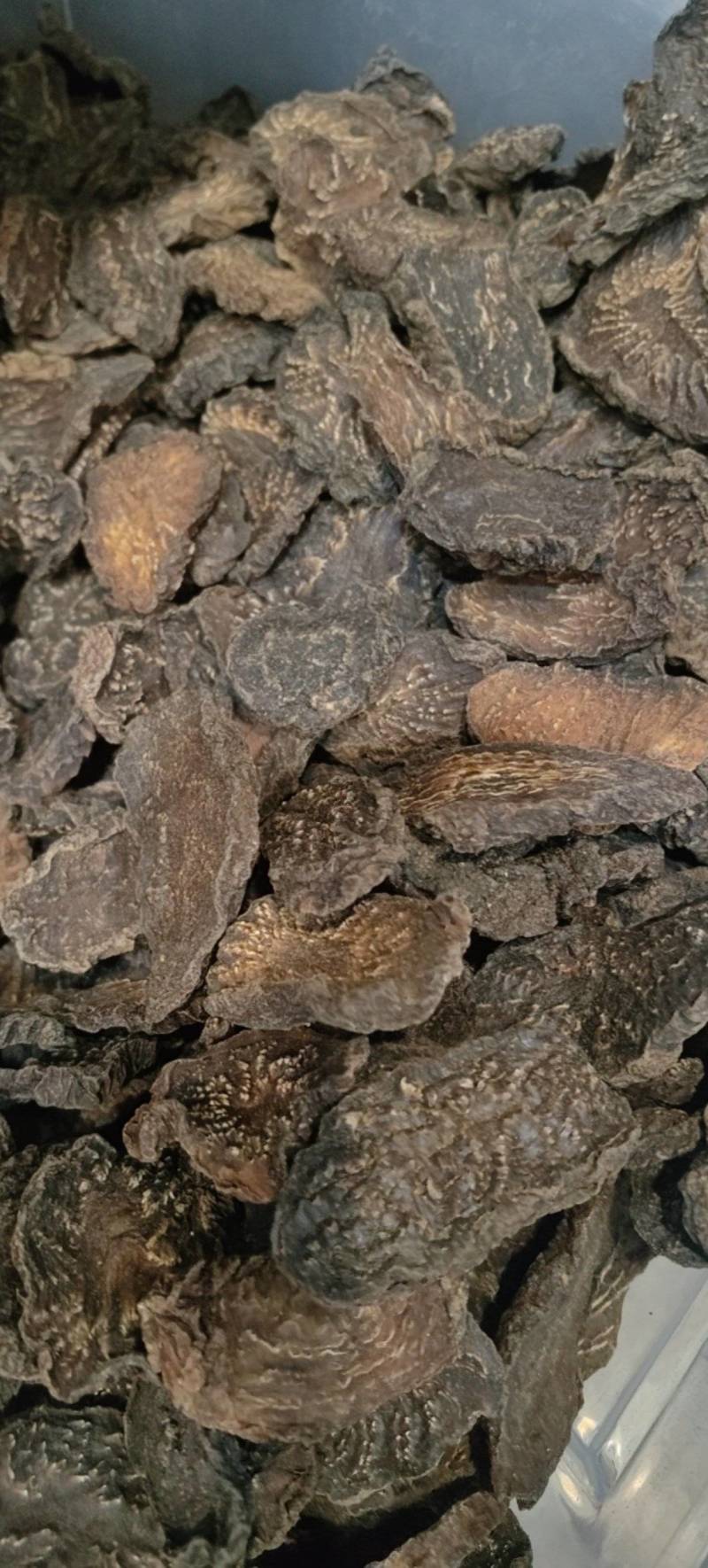 肉苁蓉肉苁蓉马蹄片熟制各种规格批发零售