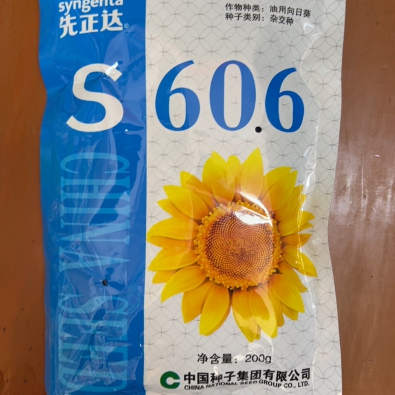 S606油葵种子先正达正品