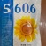 S606油葵种子先正达正品