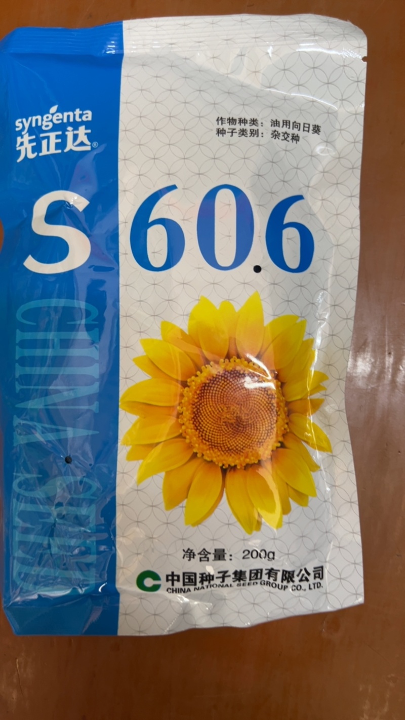 S606油葵种子先正达正品