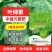 叶绿素中量元素水溶肥料提苗壮棵果树蔬菜大田镁肥绿叶农用肥