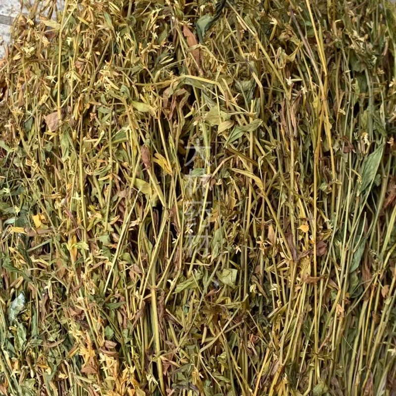 鸡心黄【包邮】三斤起发货可批量可零售量大从优