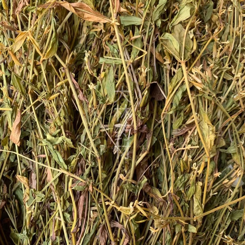 鸡心黄【包邮】三斤起发货可批量可零售量大从优