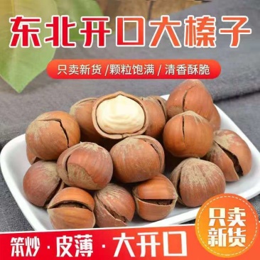 东北榛子，野生榛子，达维，玉坠，平欧，长毛，二元