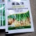 姜瘟清净温必灵干尖黄叶生大种沙杀菌剂烂脖子农病防颈基腐专