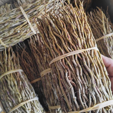 铁皮石斛全胶无渣，一手货源质量保证基地直销