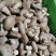 沁源直发！新鲜采摘香菇，肉厚味美，天然无污染，健康好滋味！