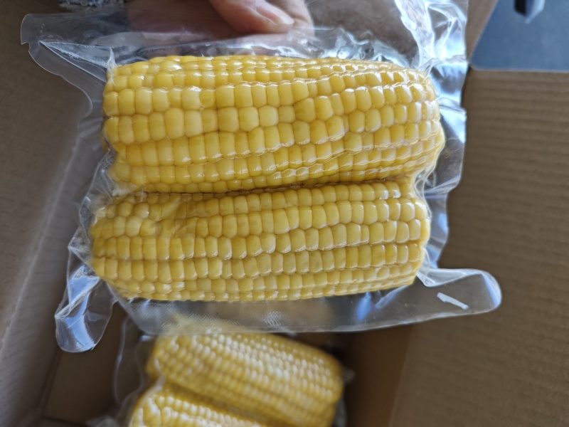 东北糯玉米可代发