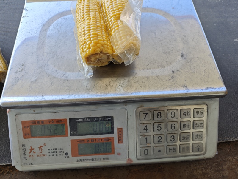 东北糯玉米可代发