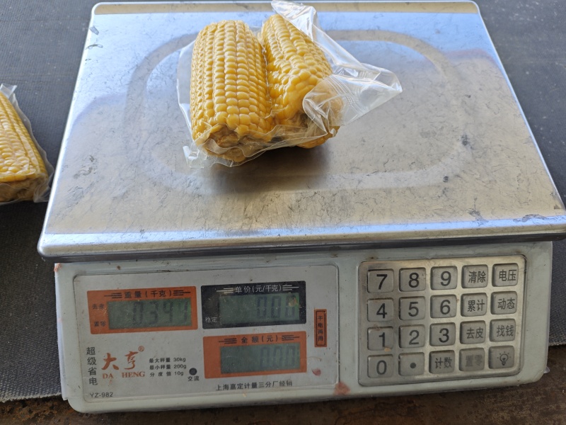 东北糯玉米可代发