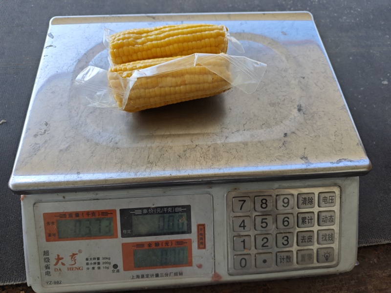 东北糯玉米可代发