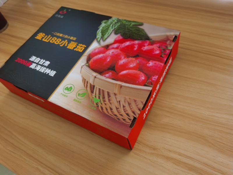 釜山88圣女果园区大量下果中，可长期合作供货期长可越夏