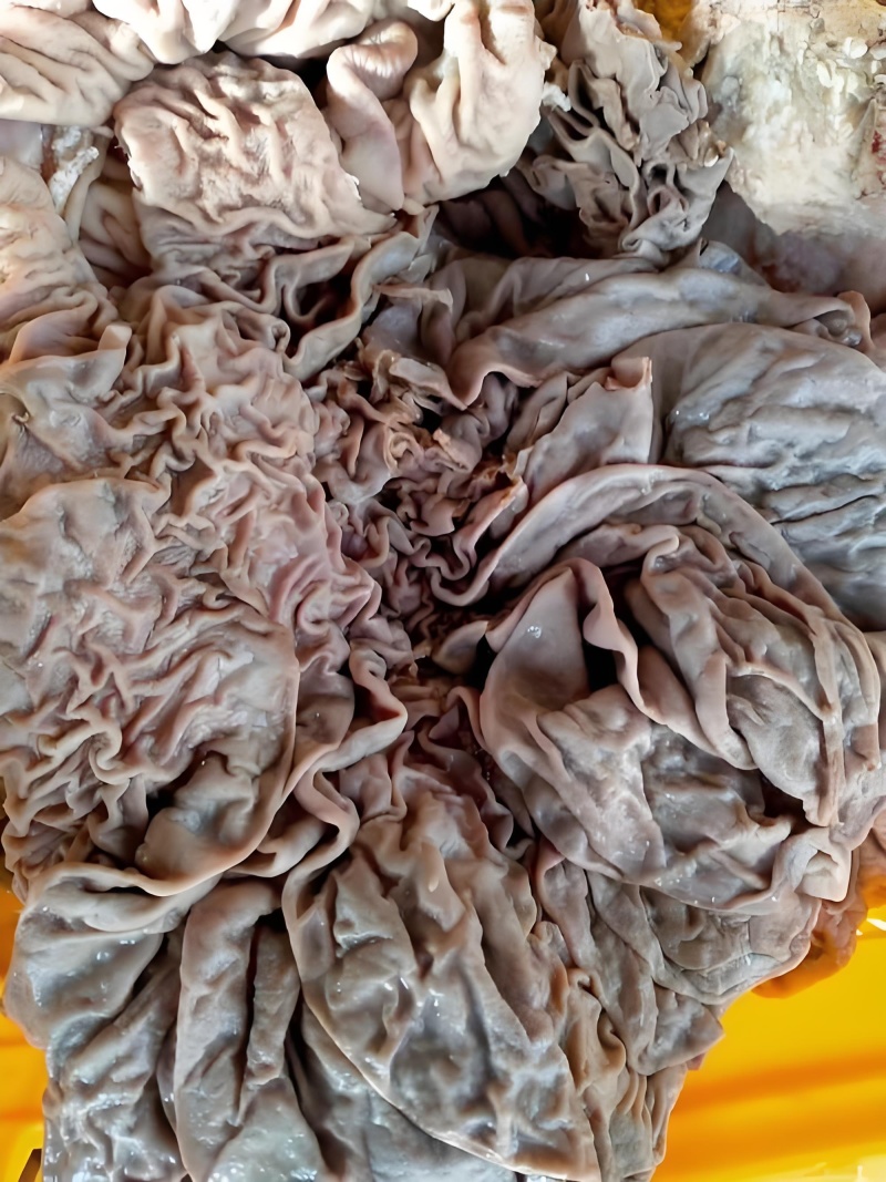 清真牛散带牛小肚，心有猛虎，细嗅蔷薇，手心有股，心中无股