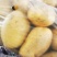 盈江县土豆现场2-4两，精品，直接在地里捡装袋发车新鲜光泽