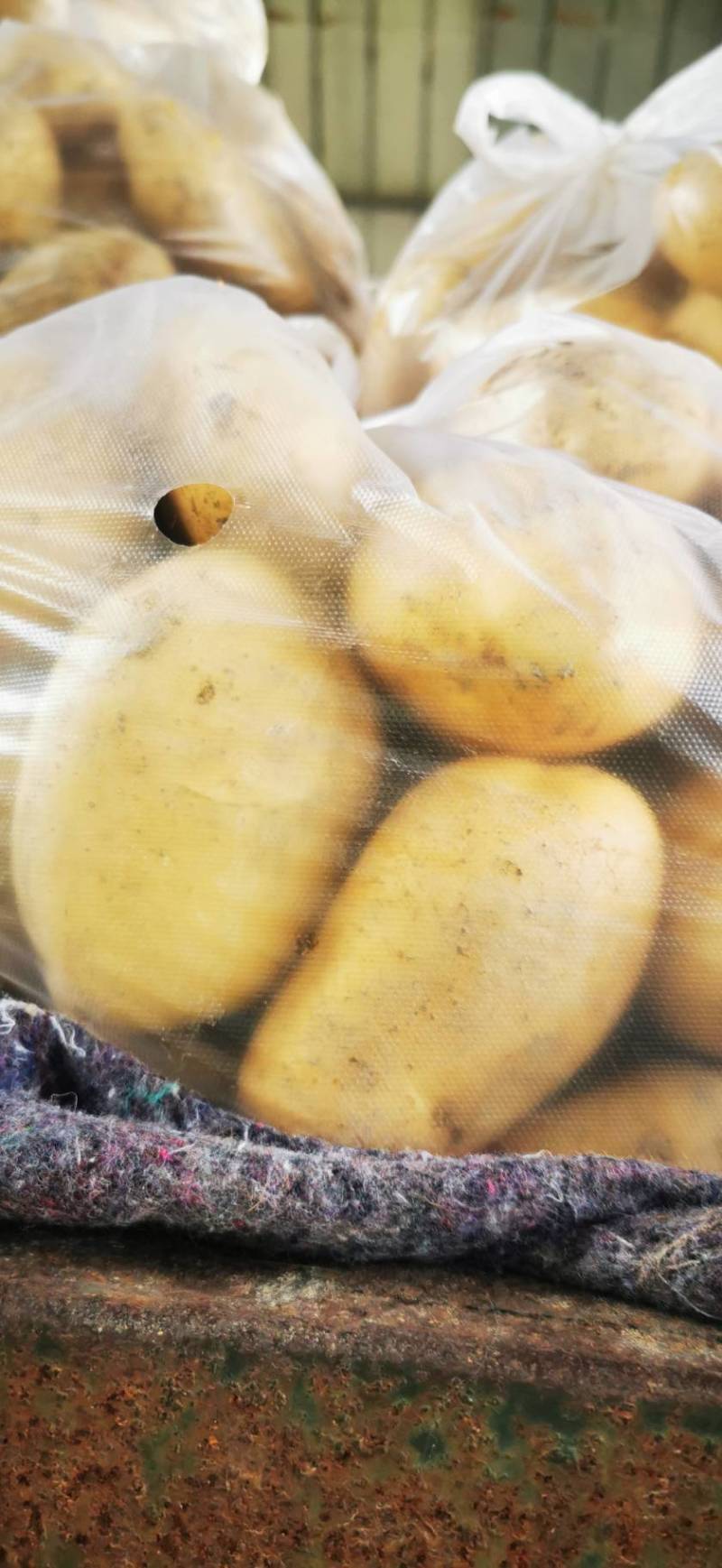 盈江县土豆现场2-4两，精品，直接在地里捡装袋发车新鲜光泽