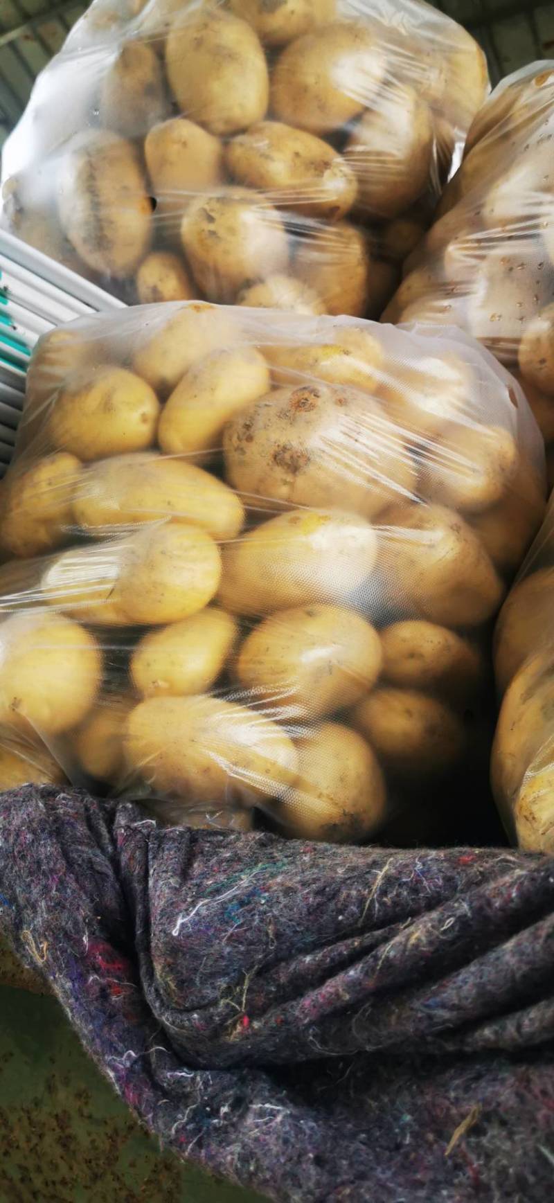 盈江县土豆现场2-4两，精品，直接在地里捡装袋发车新鲜光泽
