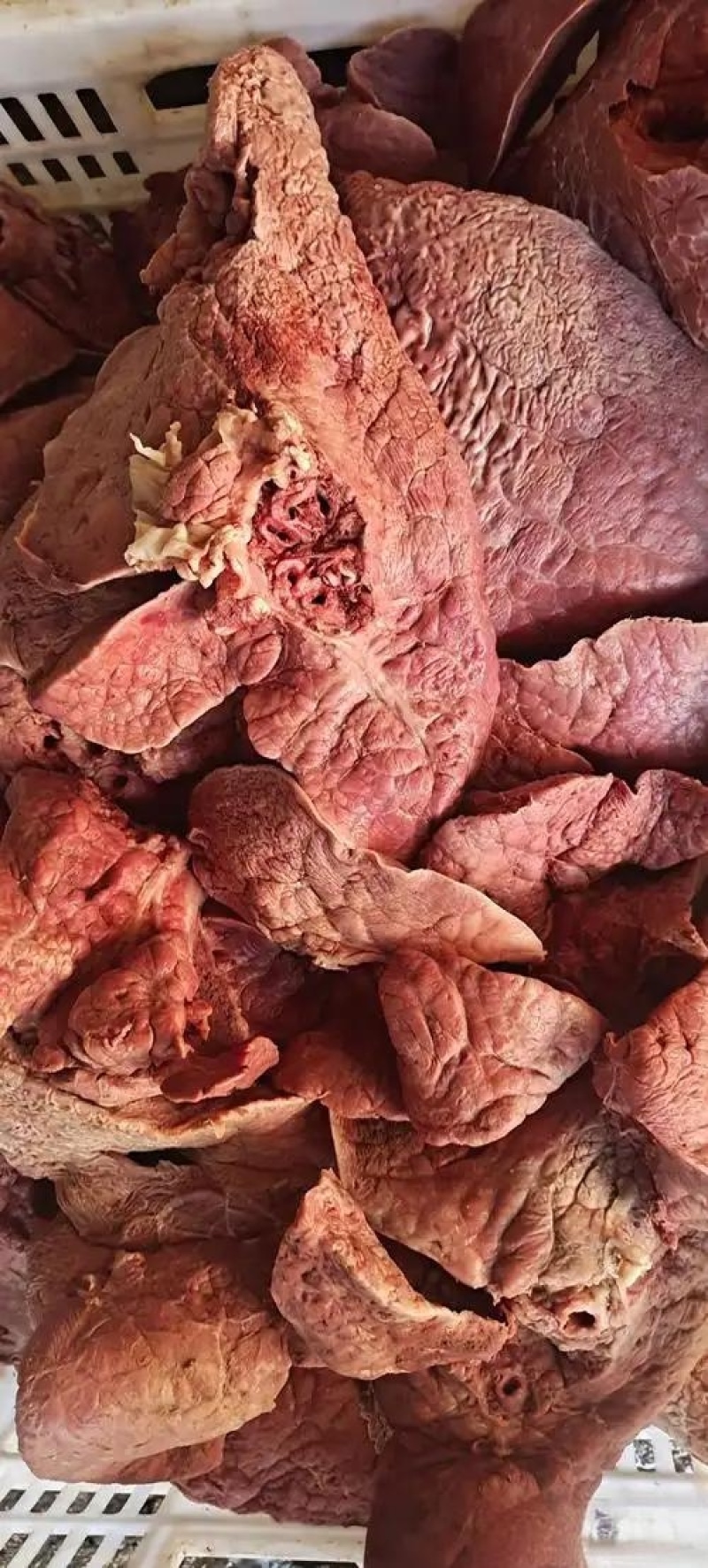 清真《熟牛肺》尝一尝不止是味道,更是记忆的再现。
