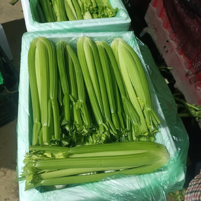 精品西芹