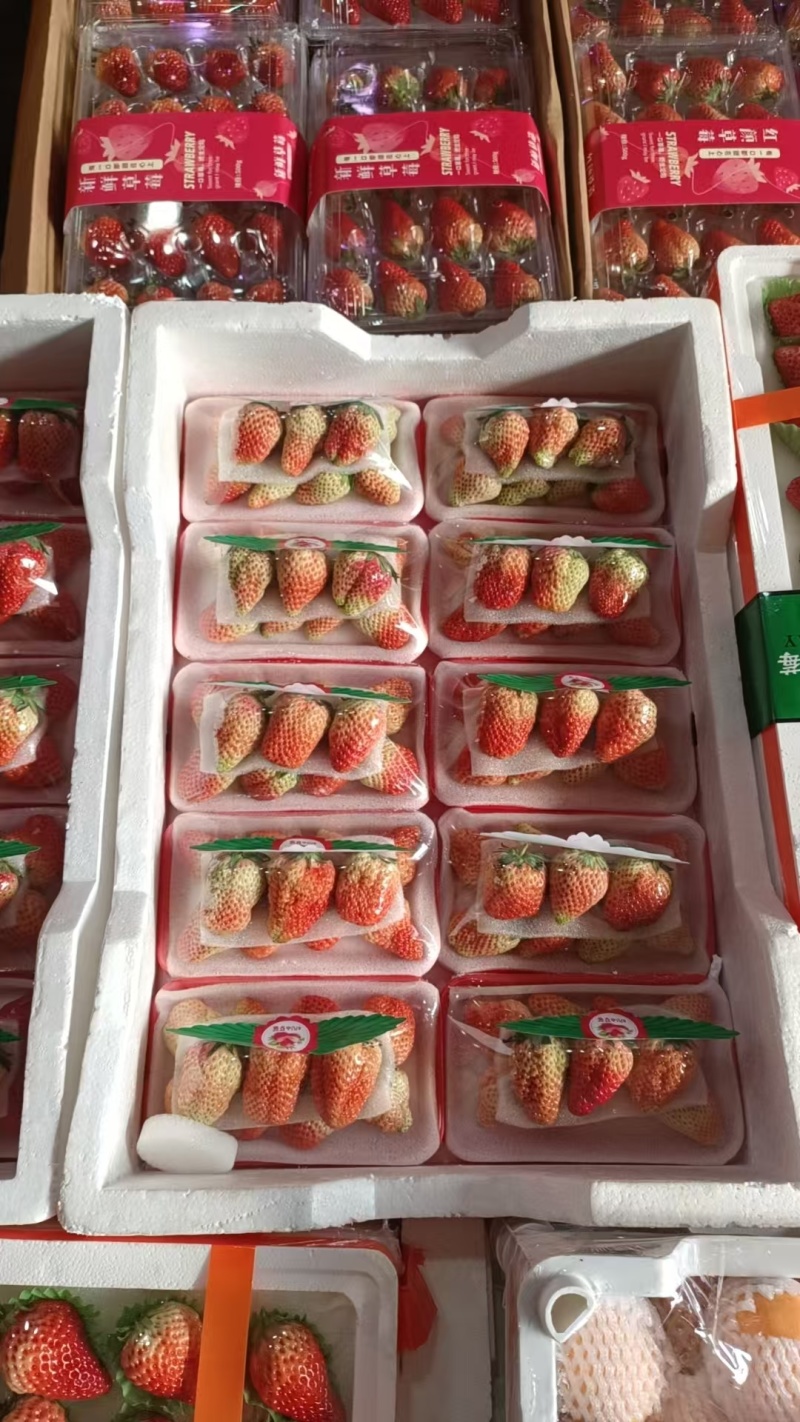 丹东安徽徐州奶油草莓十合一批发