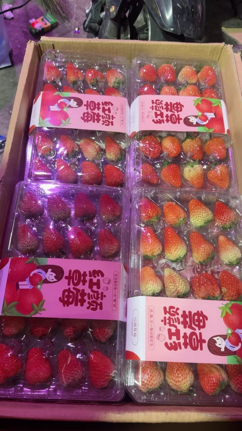 丹东安徽徐州山东大板草莓产地批发水果批发市场商超水果店