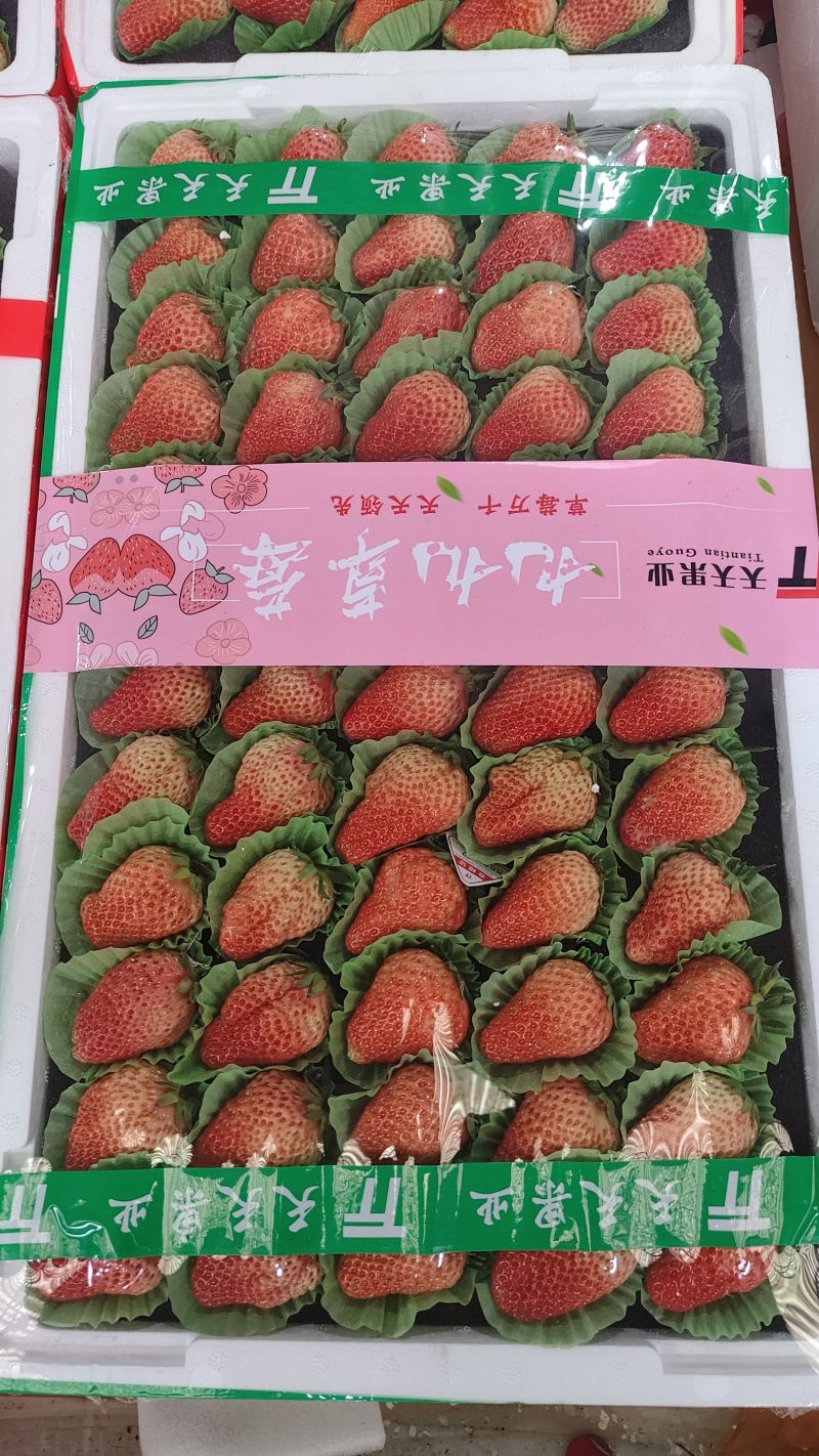丹东安徽徐州山东大板草莓产地批发水果批发市场商超水果店