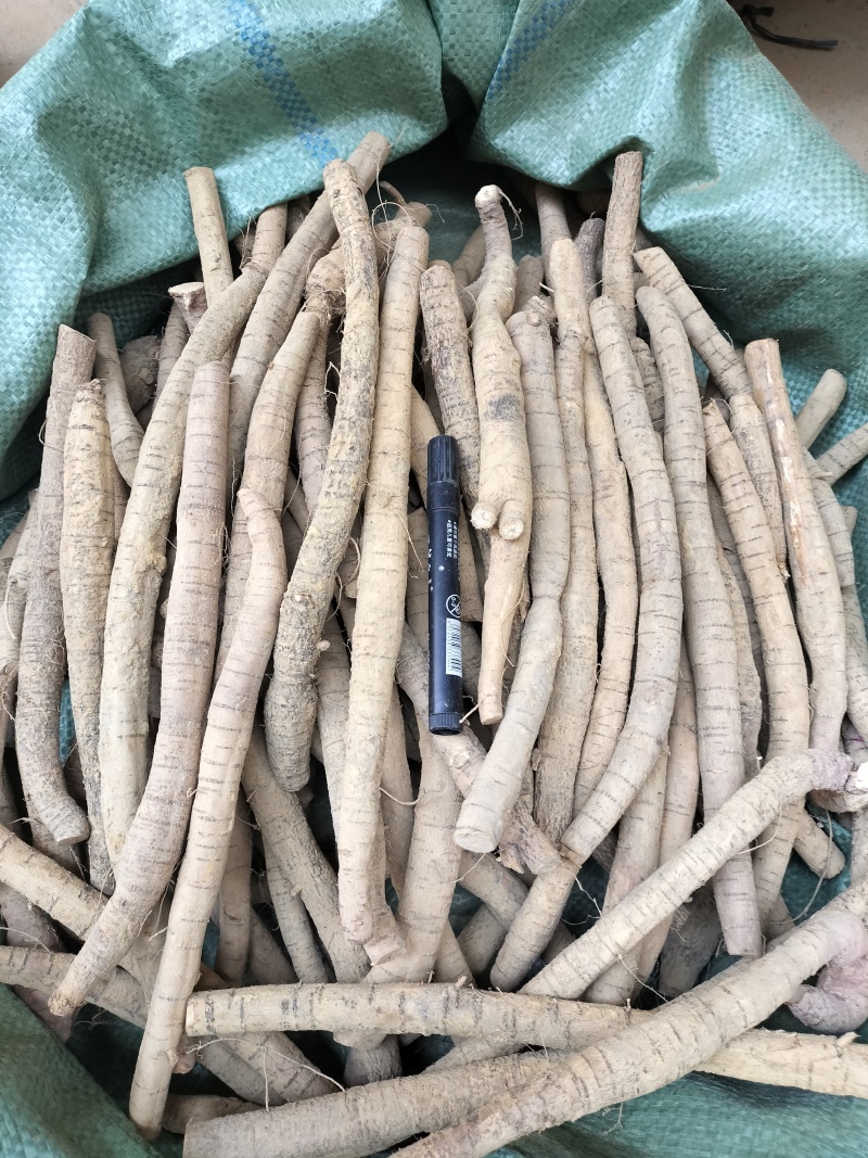 牛大力小叶牛分级货小牛规格，规格均匀货靓，一手货源