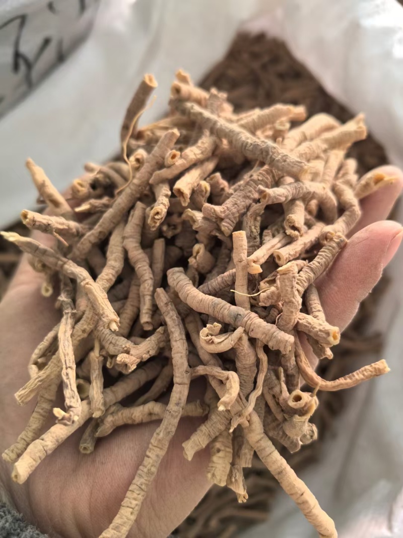 【远志】远志筒山西远志筒无硫地道药材量大从优