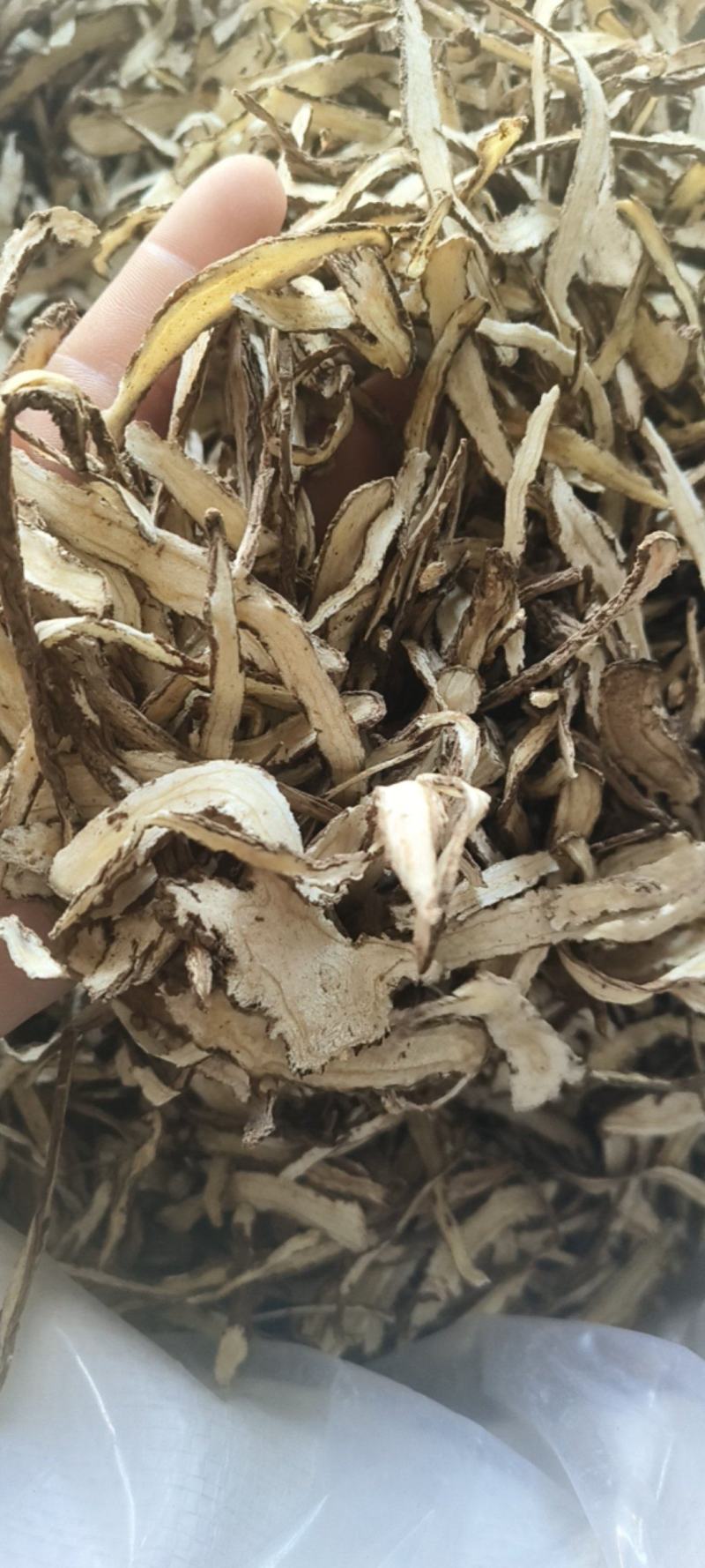 【当归】当归节子甘肃岷县无硫磺