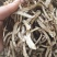 【当归】当归节子甘肃岷县无硫磺