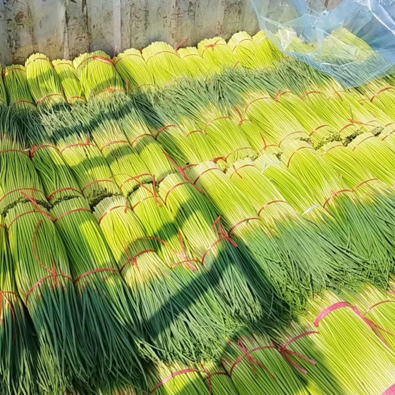 可接急单对接商超市场运营平台主播储存一件代发2025