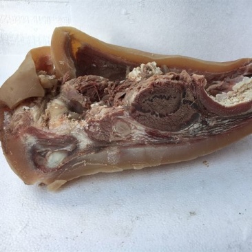 【品质保障】清真水煮全熟牛头肉量大优惠可视频看货