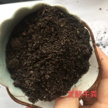发酵牛粪蔬菜花卉大蒜种植腐熟发酵牛粪有机肥
