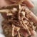 【五指毛桃】干货切片颜色鲜亮实图拍摄五指毛桃小节