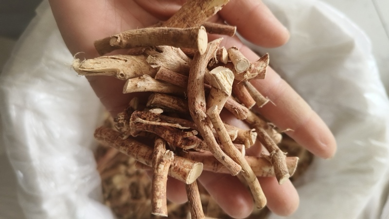 【五指毛桃】干货切片颜色鲜亮实图拍摄五指毛桃小节