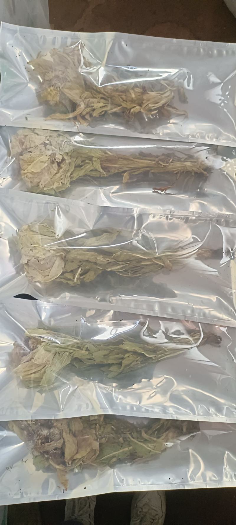 雪莲花天山雪莲花整支朵三朵包邮大朵一朵包邮