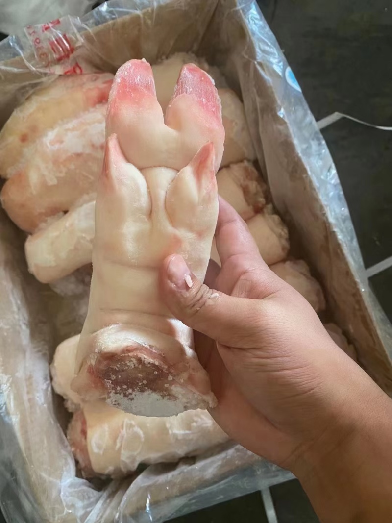 猪蹄子