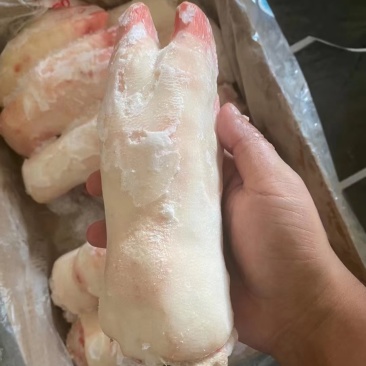 猪蹄子
