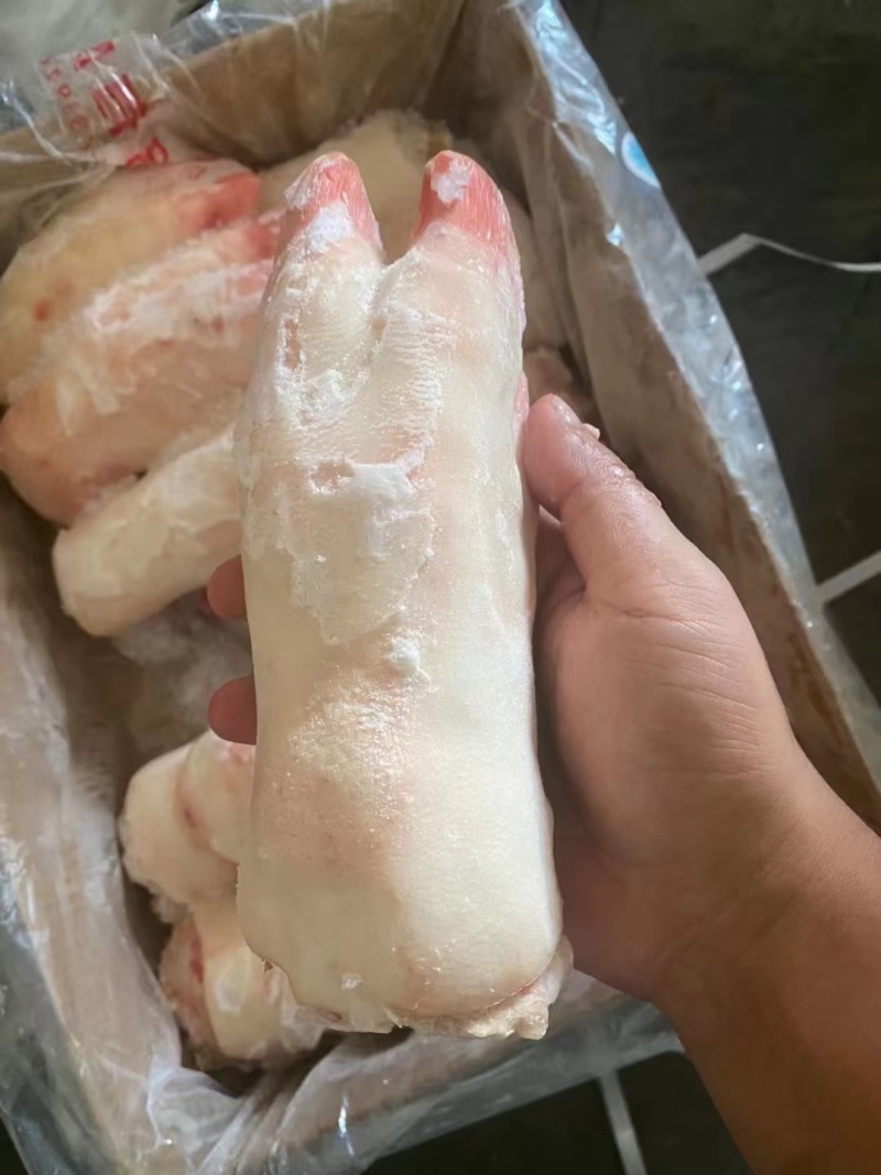 猪蹄子