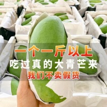 大青芒果，贵妃芒小台农，微商一件代发，电商对接包邮包售后