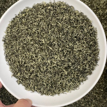 1斤明前碧螺春新茶高山绿茶浓香型嫩芽茶碧螺春