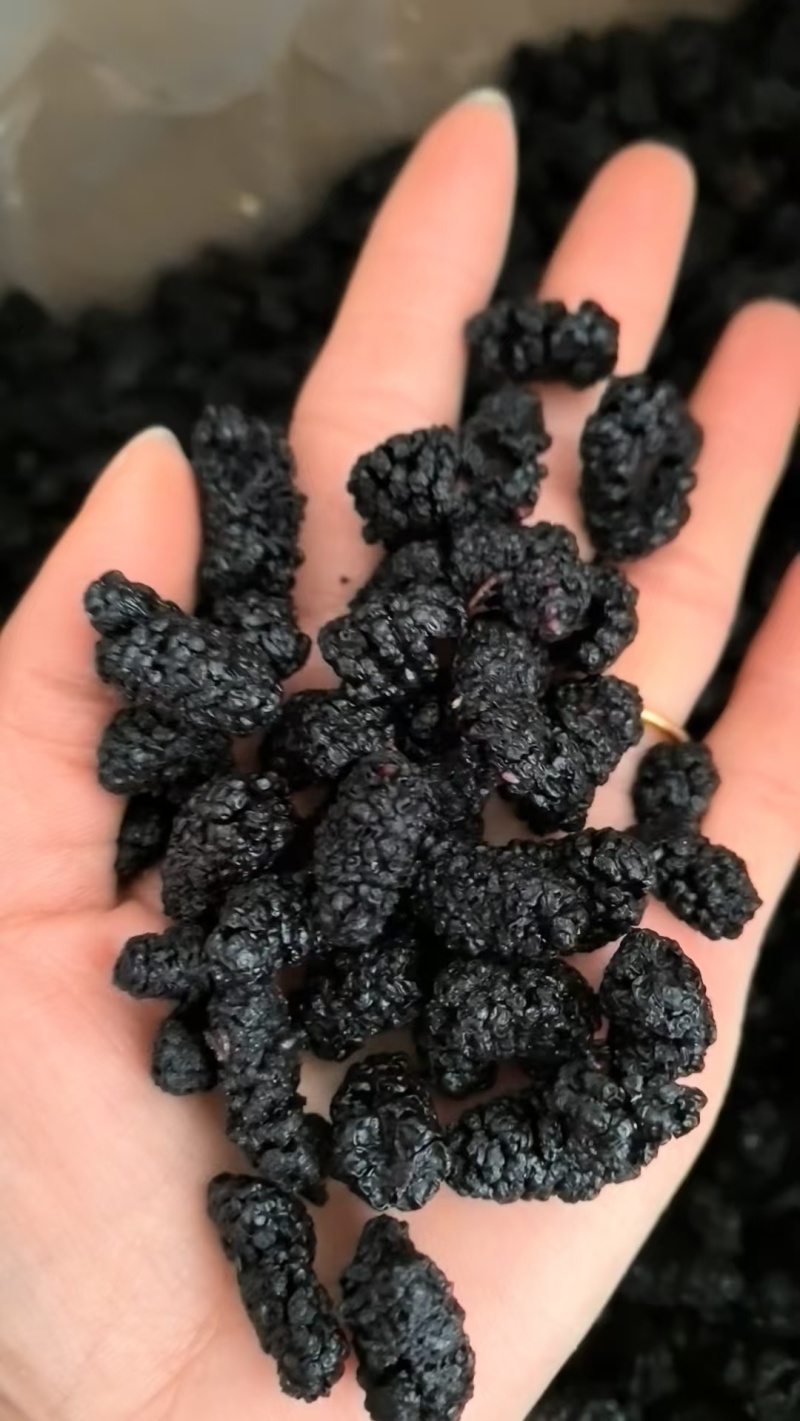 【桑葚】优质黑桑葚干手工采摘无杂质无沙药食同源