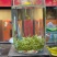 1斤明前碧螺春新茶高山绿茶浓香型嫩芽茶碧螺春