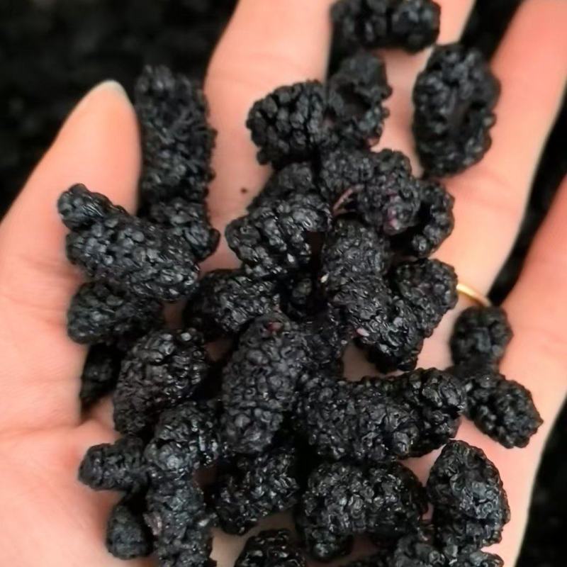 【桑葚】优质黑桑葚干手工采摘无杂质无沙药食同源