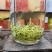 1斤明前碧螺春新茶高山绿茶浓香型嫩芽茶碧螺春