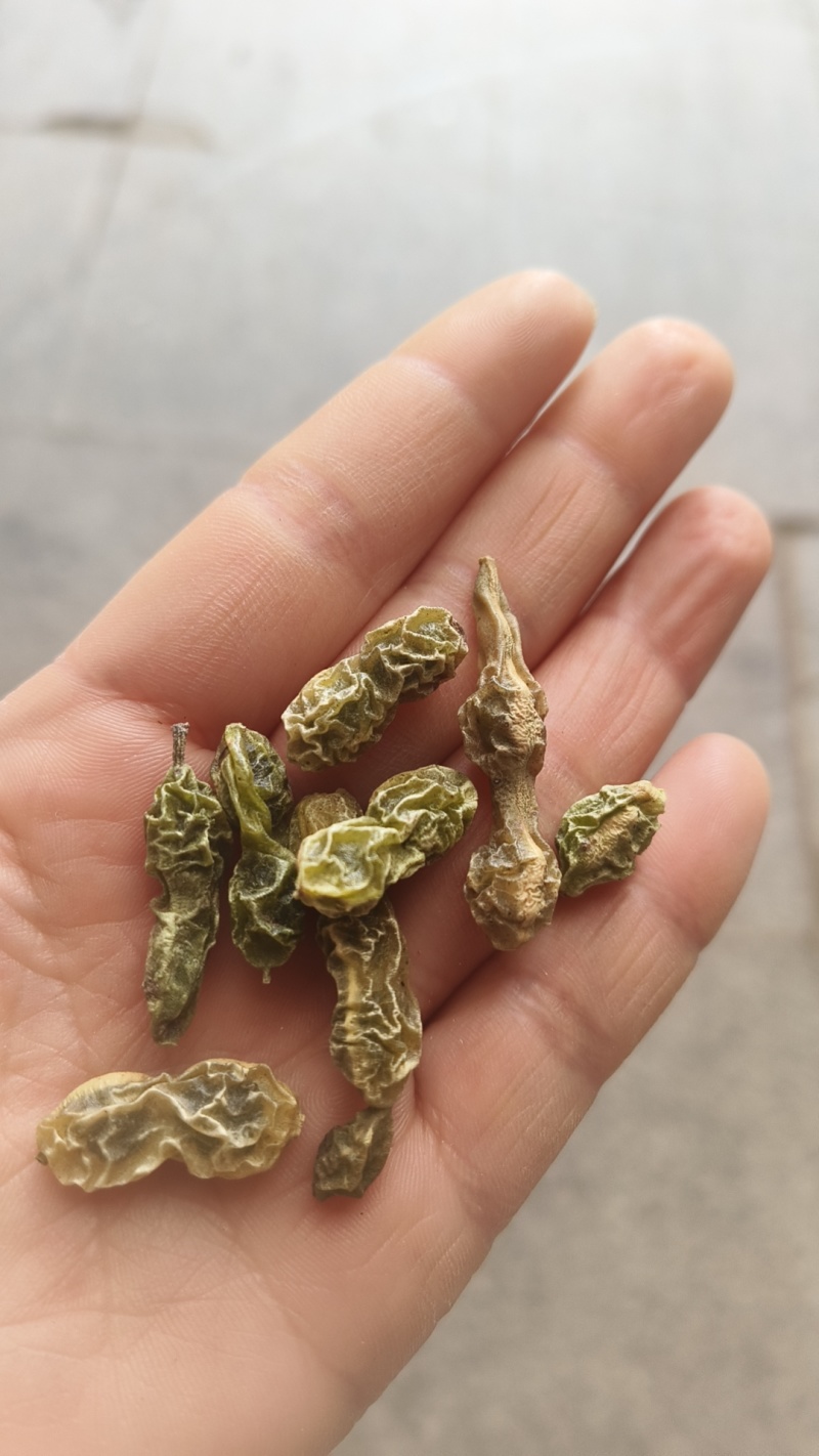 【槐角】实物拍摄新货颜色好看