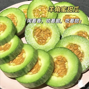 精选羊角蜜山东博洋甜瓜极脆极甜一手货源量大从优