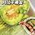 精选羊角蜜山东博洋甜瓜极脆极甜一手货源量大从优