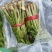 升麻苗，窟窿芽苗，升麻菜，窟窿芽菜