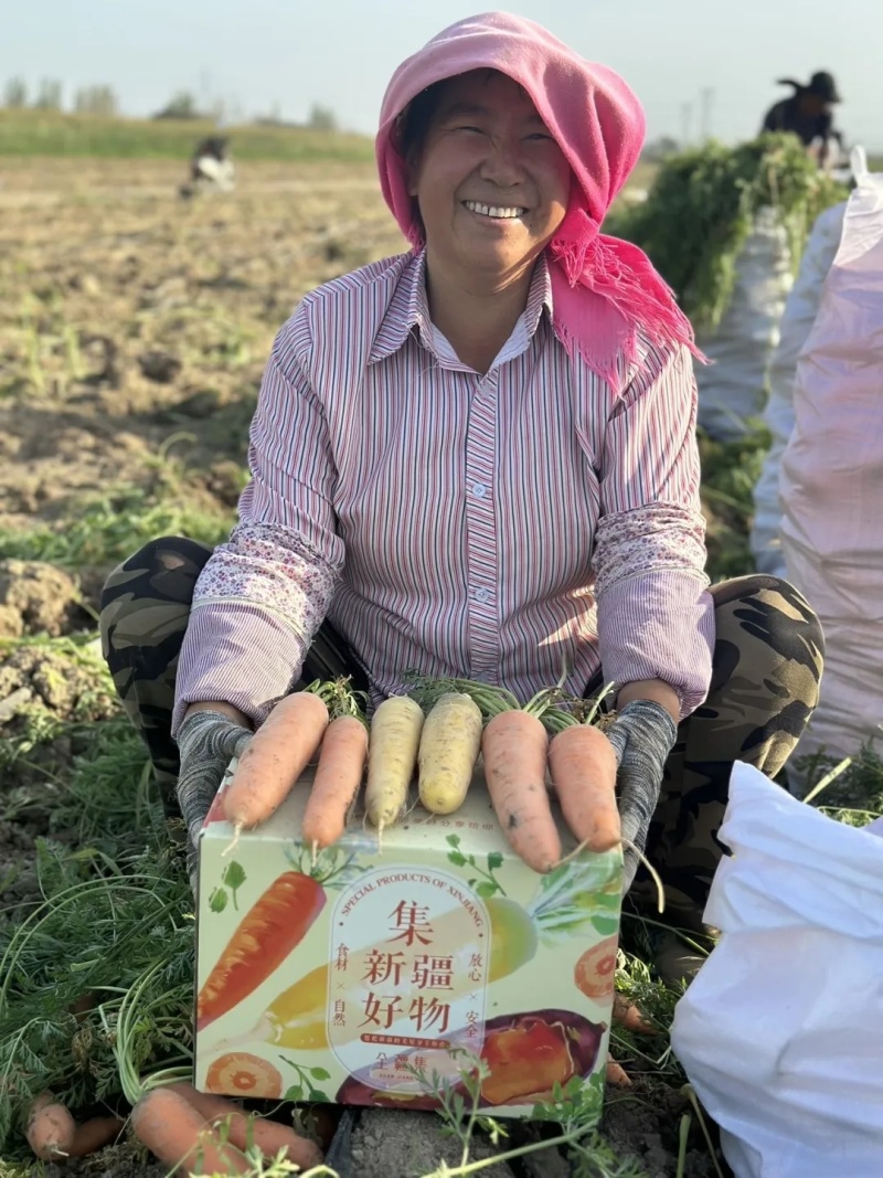 【新疆红萝卜】原产地供货全国接单承接电商社区团购